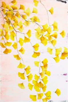 yellow leaves are hanging from a branch in front of a white wall with pink paint