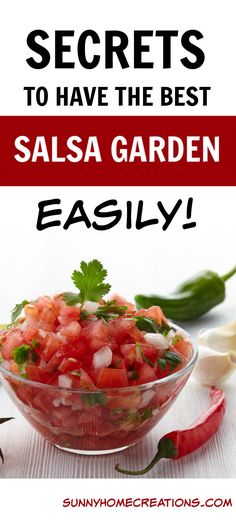 salsa in a glass bowl with the words secrets to have the best salsa garden easily