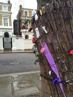 a purple ribbon is tied to a tree