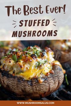 the best ever stuffed mushrooms with text overlay