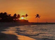 the sun is setting over the beach with palm trees