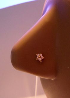 a close up view of a nose with a diamond ring on it's left side