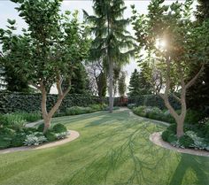 the sun shines through some trees and bushes in this landscaped garden with lush green grass