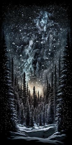 the night sky is filled with stars and trees