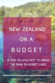 the words new zealand on a budget in front of a lake with trees and bushes