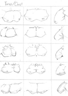 the steps to draw an animal's nose and mouth in different ways, including how to