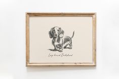 a drawing of a dachshund is hanging on the wall in front of a white background