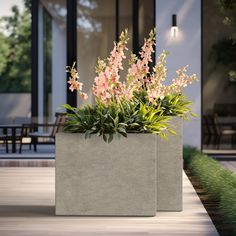 two cement planters with pink flowers in them