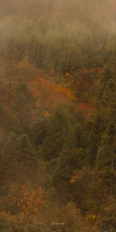 an animal standing on top of a lush green hillside covered in foggy trees and bushes