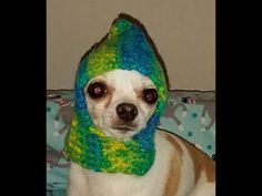 a small dog wearing a knitted hat and scarf on top of a couch next to a pillow