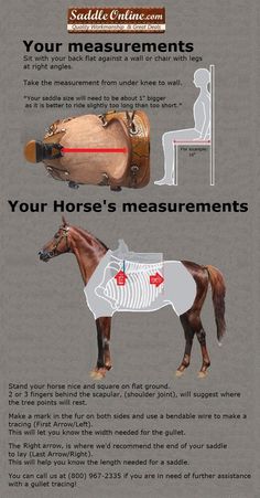 "This  has to be one of the best diagrams and instructions I have ever seen to get the right fit!These are great diagrams and explanations!" Horse Farm Ideas