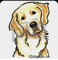 a drawing of a golden retriever dog