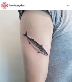 a small fish tattoo on the right arm