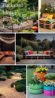 backyard ideas and budget friendly landscaping