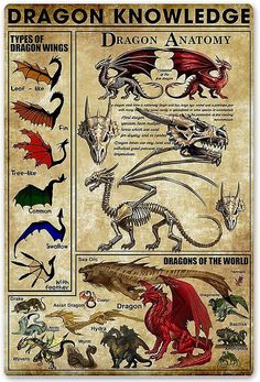 a poster with different types of dragon