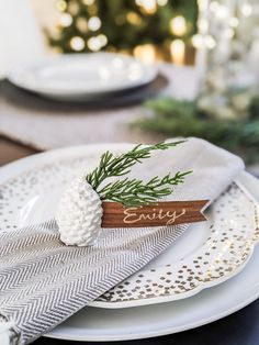 a place setting with pine cones, napkins and personalized wood nameplates