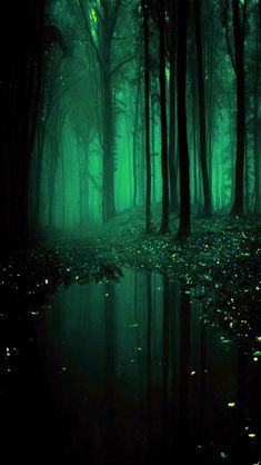 magical forest aesthetic#fairy land magical forest#magical forest wallpaper#magical forest background#magical fairy forest#fairy land magical forest aestheticmagical forest aesthetic#fairy land magical forest#magical forest wallpaper#magical forest background#magical fairy forest#fairy land magical forest aestheticemerald forest#green emerald forest aesthetic#emerald green enchanted forest quince#emerald green forest#emerald green forest wedding#emerald green forest aesthetic#emerald green wallp Emerald Dark Aesthetic, Emerald Green Homescreen Aesthetic, Green Dark Forest Aesthetic, Emerald Screensaver, Dark Green Forest Background, Emerald Green Aethstetic, Blue Green Forest Aesthetic, Emerald Green Forest Aesthetic, Dark Green Princess Aesthetic