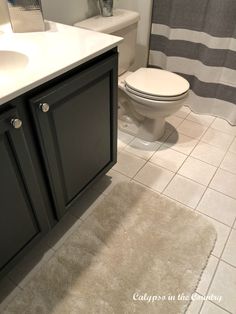 a white toilet sitting next to a bath tub under a bathroom sink with a shower curtain