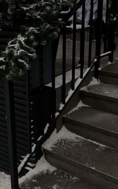 snow is falling on the steps and trees are growing in pots next to each other