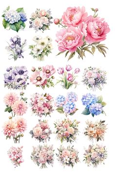 an assortment of flowers with different colors and sizes on the petals, including pinks, blue