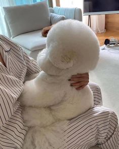 a person sitting on a couch holding a white stuffed animal