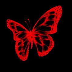 a red butterfly on a black background