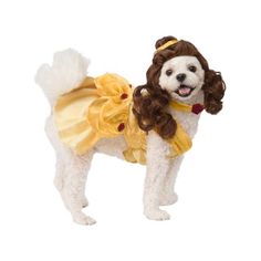 a dog dressed up in a princess costume