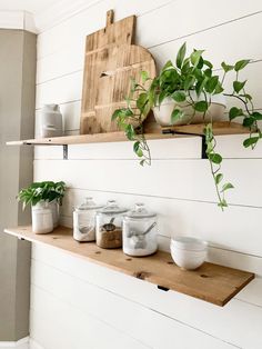 some plants are sitting on top of shelves in the kitchen, with dishes and utensils