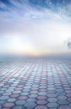 a lone tree stands in the middle of an empty, cobblestone floored area