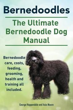 the ultimate berneseodle dog manual