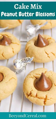 peanut butter blossom cookies with chocolate frosting on a cooling rack and text overlay