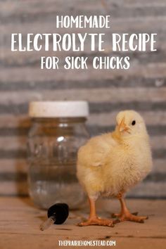 a small chicken standing on top of a wooden floor next to a jar filled with eggs