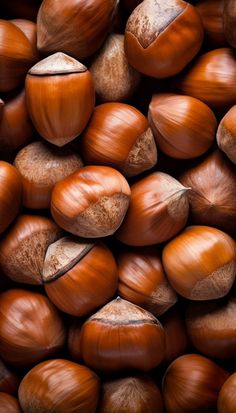 an image of nuts that are brown in color