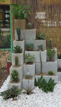 there are many succulents in the planter