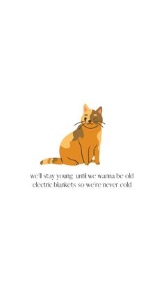 an orange cat sitting on top of a white background with the words we stay young and have