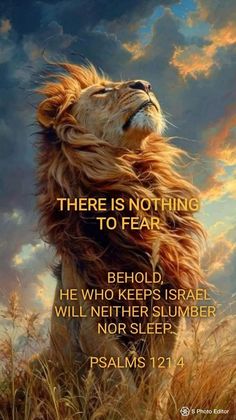 Lion Roar, The Lion Of Judah, God Is In Control, The One I Love, Introduce Myself, Prayer Verses