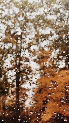 rain drops on the window with trees in the background