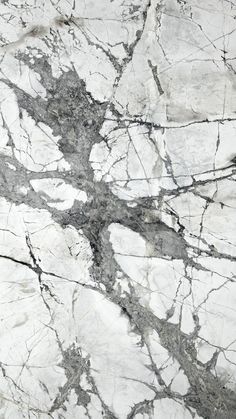 white and black marble textured with grey veiners