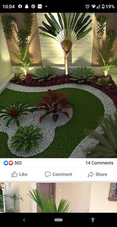 an image of a small garden in the middle of a room