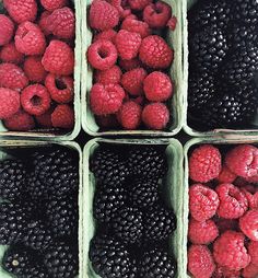 raspberries, blackberries and raspberries are in plastic containers on display