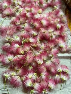 pink and white flowers sitting on top of a table