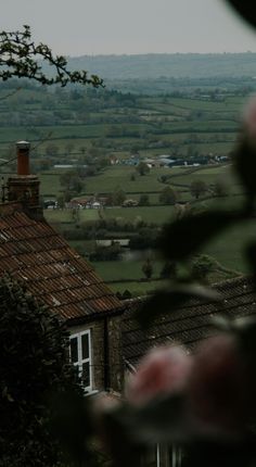 an image of a view from the top of a building with flowers in front of it