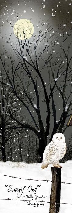 PRICES MAY VARY. Title - Snowy Owl Product Type - Fine Art Print Paper Size - 8 x 24 Licensor: Penny Lane Billy Jacobs Billy Jacobs, Owl Posters, Seaside Art, Snowy Owl, Penny Lane, Old Barns, Moon Goddess, Posters Prints, Paper Size