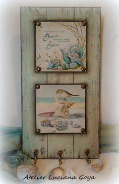 two pictures are hanging on the wall next to shells and seashells with seaweed