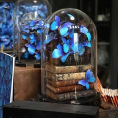 there are many blue butterflies in the glass dome on top of some books and an open book