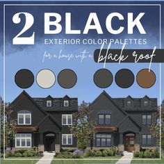 two black exterior color palettes for the house