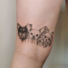 three small dogs on the side of a woman's leg, one is black and white