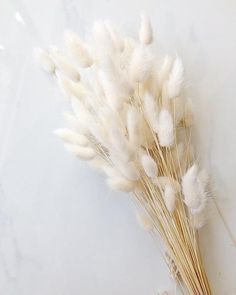 some white flowers are on a marble table and it looks like they have been dried