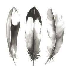 Watercolor Feathers II Poster Print - Grace Popp-VARPDX111107D Image 1 Watercolor Feather, Contemporary Watercolor, Watercolor Canvas, Printed Canvas, Artist Canvas, Big Canvas, Great Big Canvas, Trademark Fine Art, High Quality Art Prints