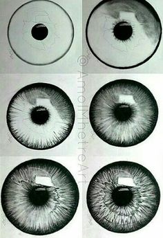 four different types of eyeballs in black and white